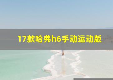 17款哈弗h6手动运动版