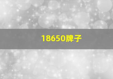 18650牌子