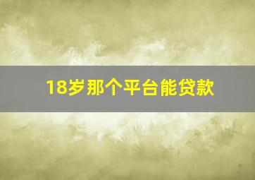 18岁那个平台能贷款