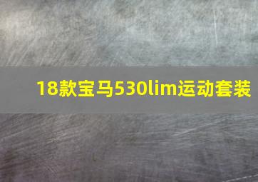 18款宝马530lim运动套装