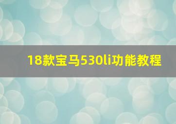 18款宝马530li功能教程