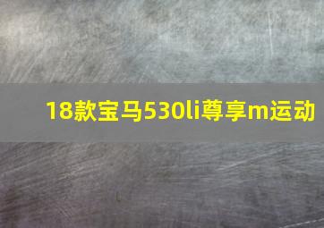 18款宝马530li尊享m运动