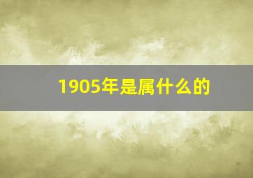 1905年是属什么的