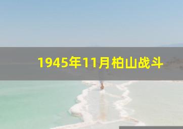 1945年11月柏山战斗