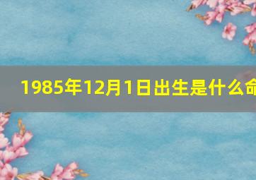 1985年12月1日出生是什么命