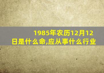 1985年农历12月12日是什么命,应从事什么行业