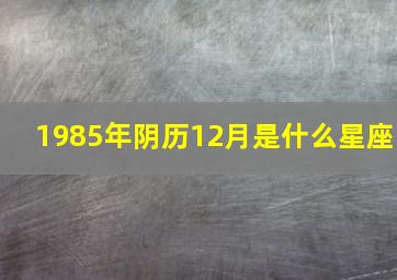 1985年阴历12月是什么星座