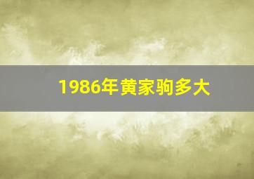 1986年黄家驹多大