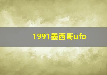 1991墨西哥ufo