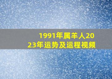 1991年属羊人2023年运势及运程视频