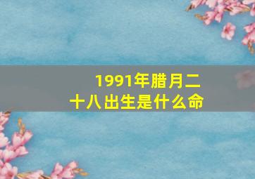 1991年腊月二十八出生是什么命