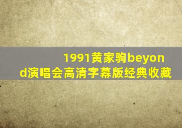 1991黄家驹beyond演唱会高清字幕版经典收藏