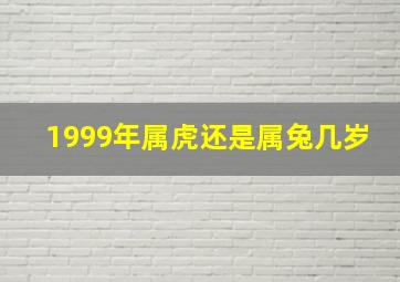 1999年属虎还是属兔几岁