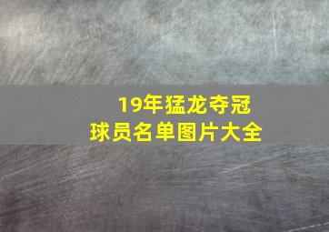 19年猛龙夺冠球员名单图片大全