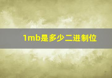 1mb是多少二进制位