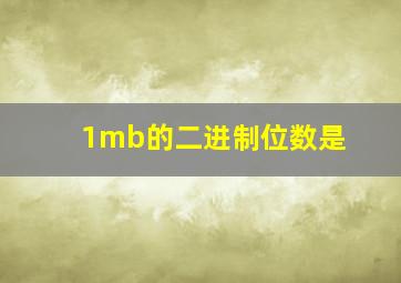 1mb的二进制位数是