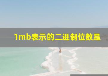 1mb表示的二进制位数是