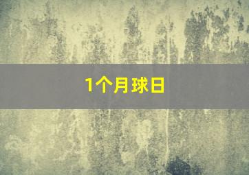 1个月球日