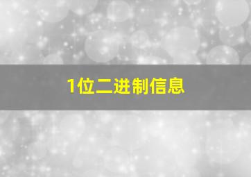 1位二进制信息