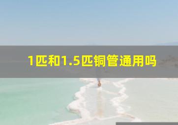 1匹和1.5匹铜管通用吗