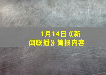 1月14日《新闻联播》简报内容