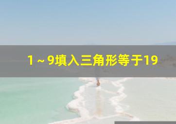 1～9填入三角形等于19