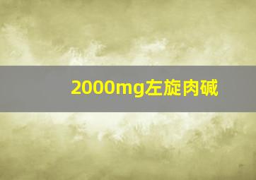 2000mg左旋肉碱