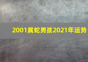 2001属蛇男孩2021年运势