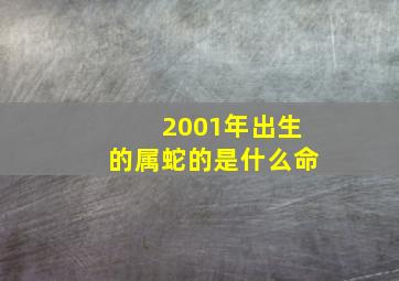 2001年出生的属蛇的是什么命