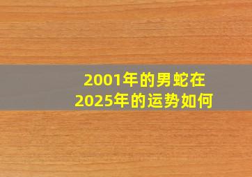 2001年的男蛇在2025年的运势如何