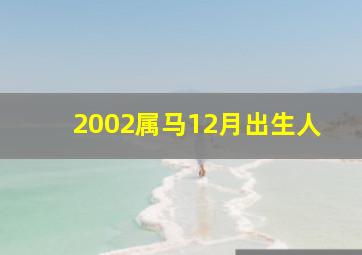 2002属马12月出生人