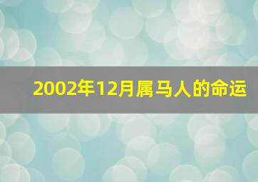 2002年12月属马人的命运