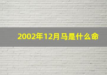 2002年12月马是什么命