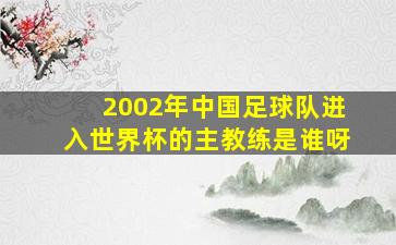 2002年中国足球队进入世界杯的主教练是谁呀