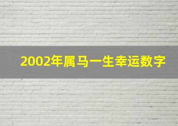 2002年属马一生幸运数字