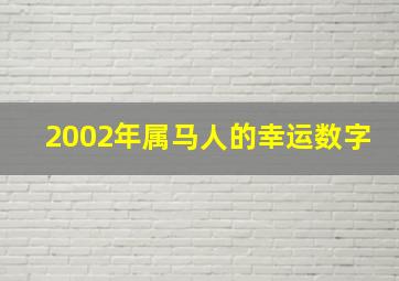 2002年属马人的幸运数字