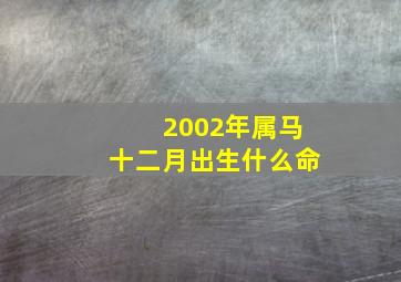 2002年属马十二月出生什么命