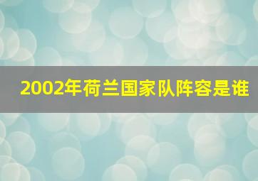 2002年荷兰国家队阵容是谁