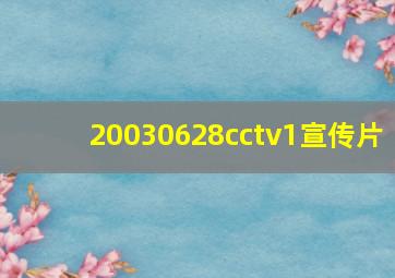 20030628cctv1宣传片