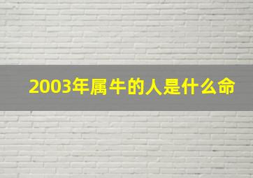 2003年属牛的人是什么命