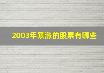 2003年暴涨的股票有哪些