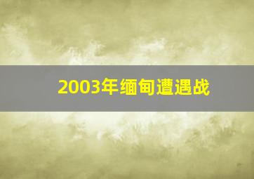 2003年缅甸遭遇战