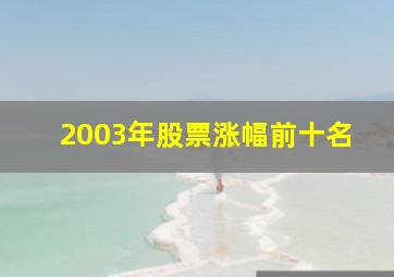 2003年股票涨幅前十名