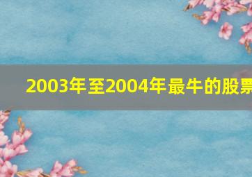 2003年至2004年最牛的股票