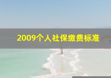 2009个人社保缴费标准