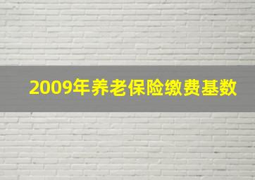 2009年养老保险缴费基数