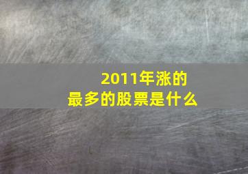 2011年涨的最多的股票是什么