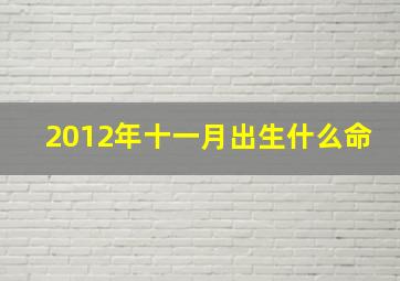 2012年十一月出生什么命