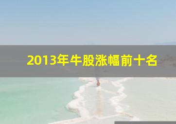 2013年牛股涨幅前十名