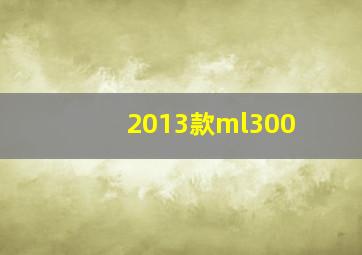 2013款ml300